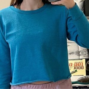 Hanes blue sweatshirt